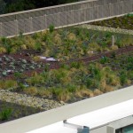 UCSD Green Roof